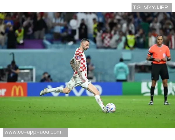 克罗地亚前国脚因止痛药换肾三次感慨生命无常的心声